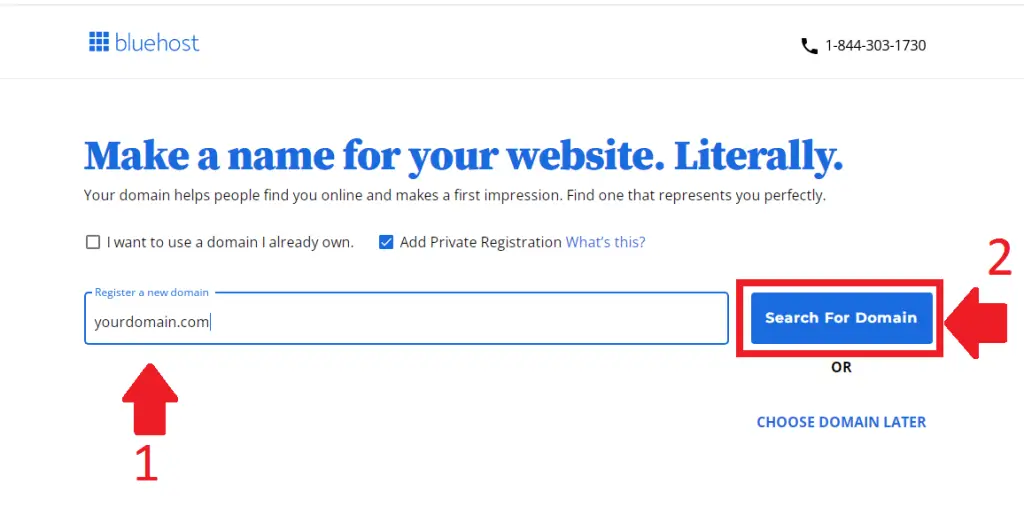 Bluehost domain search page with a field to enter your desired domain name and a 'Search For Domain' button.